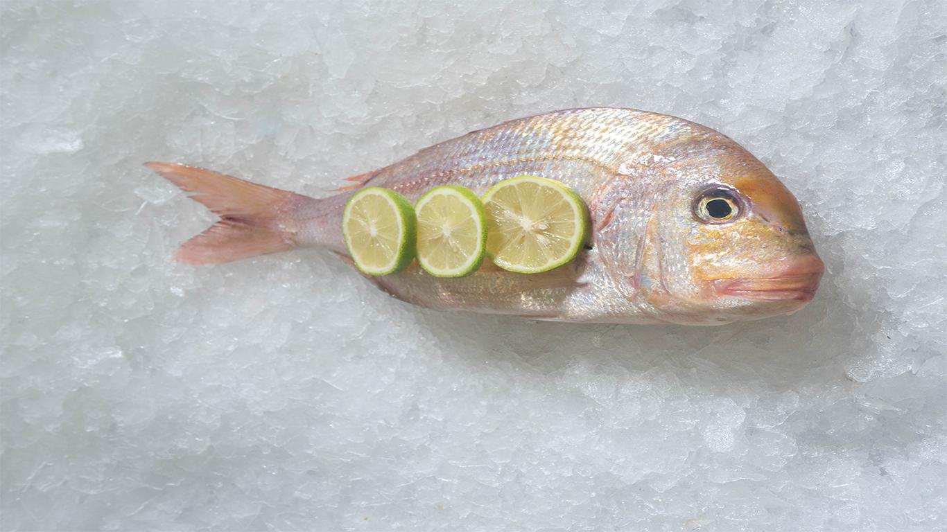 SEA BREAM