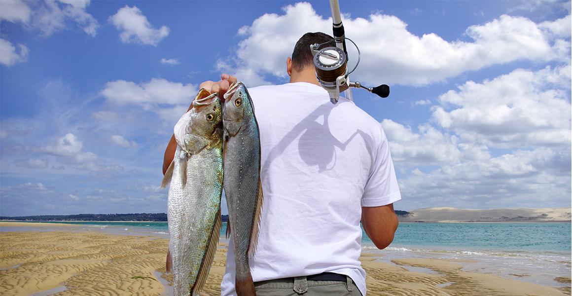 Où pêcher la courbine ?