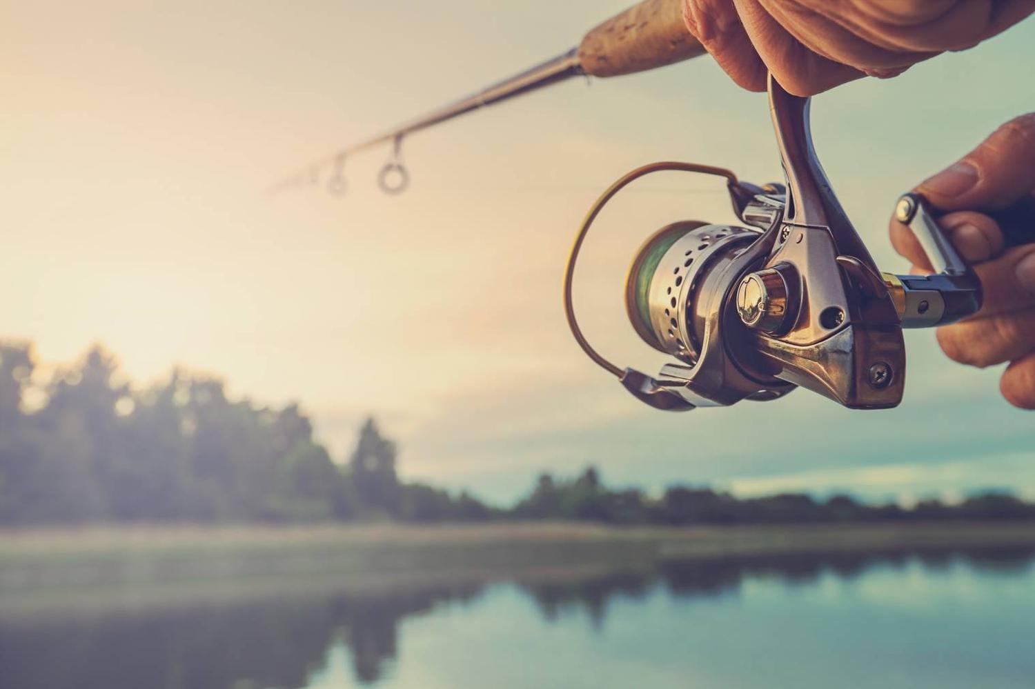 Gros plan sur la pêche à la courbine