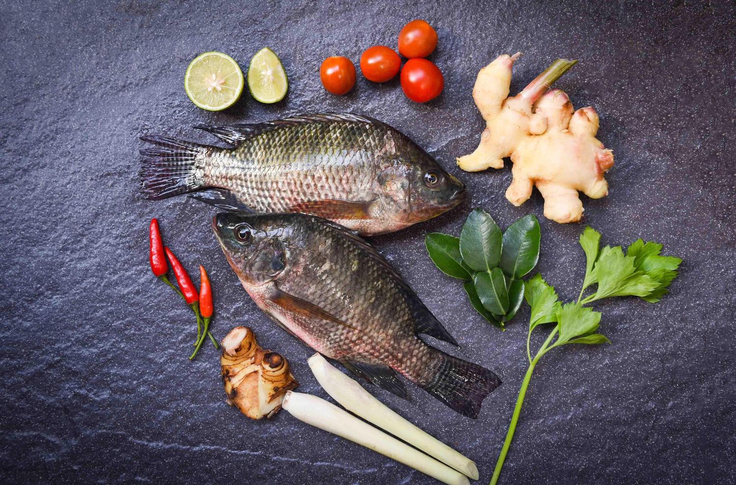 Que choisir : la courbine ou le tilapia ?